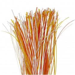 Lemon Orange Fishscale